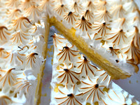 Tarta frageda cu crema de vanilie, pralina crocanda de lamaie, bezea flambata